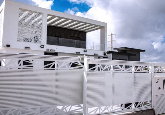 משרביה לבנה