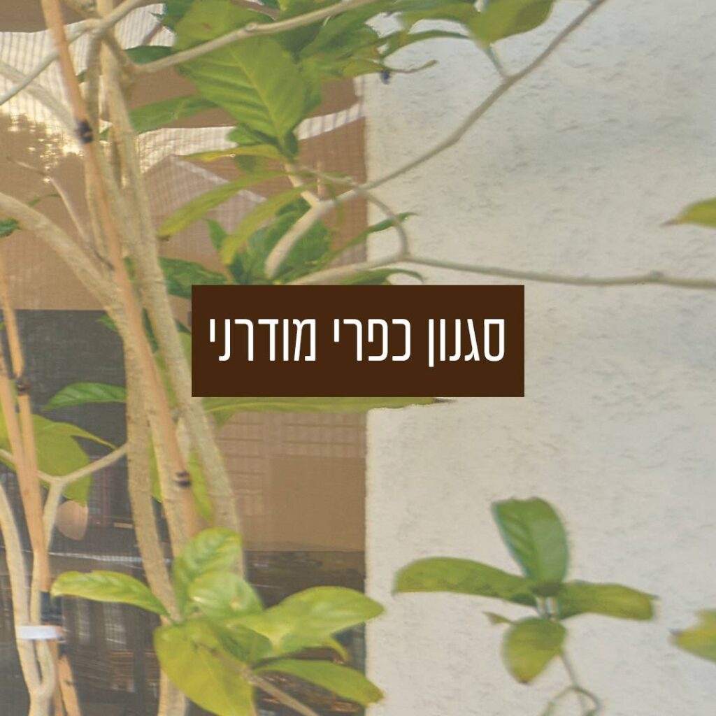 סגנון כפרי מודרני