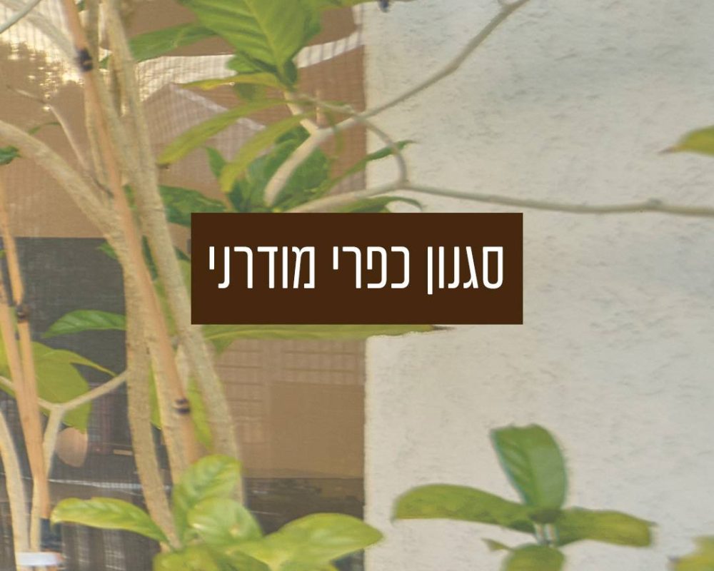 סגנון כפרי מודרני